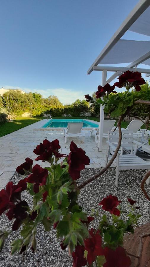 B&B Masseria Sant'Angelo Antonelli ภายนอก รูปภาพ