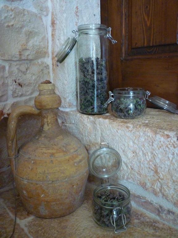 B&B Masseria Sant'Angelo Antonelli ภายนอก รูปภาพ